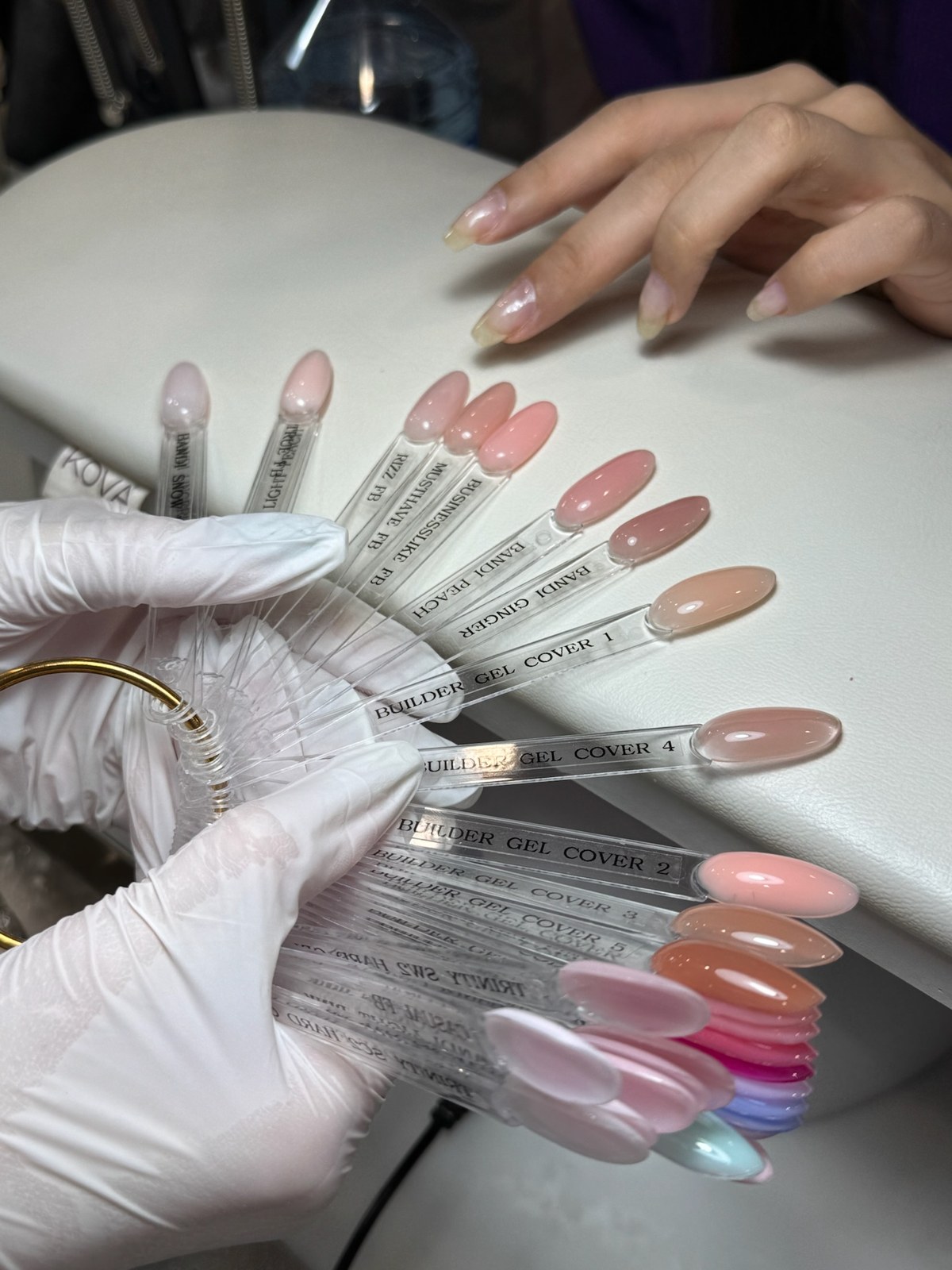 Technician presenting a fanned gel colour palette